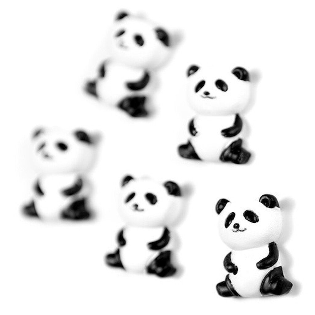 Panda bear fridge magnets, 5 pcs